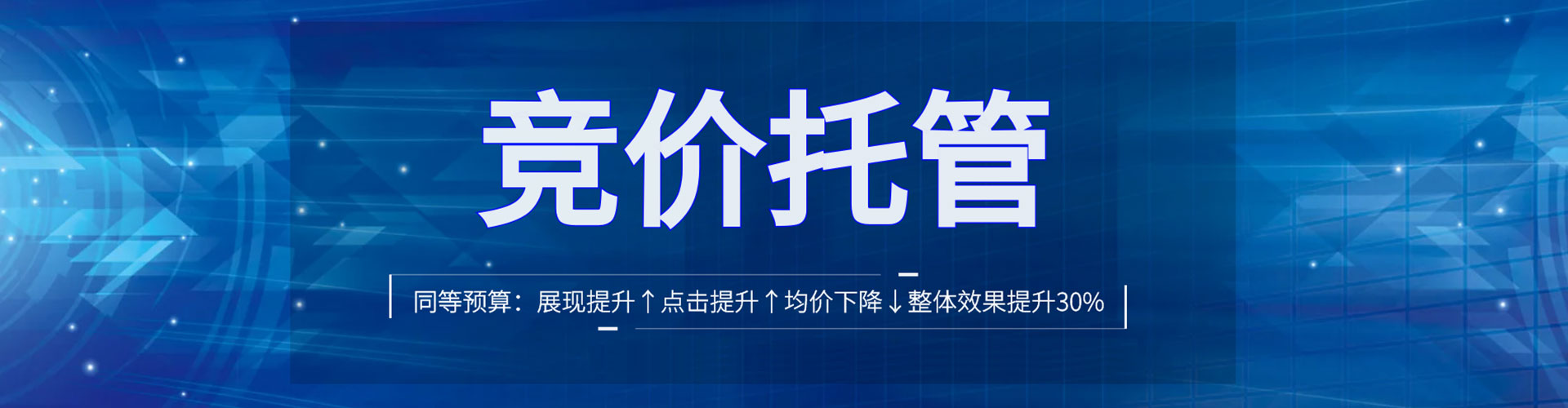 巴马sem代运营